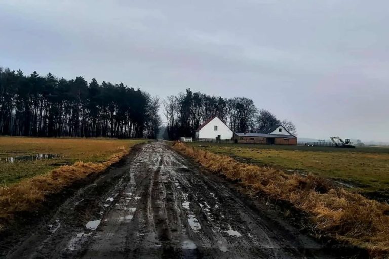 rural dirt road