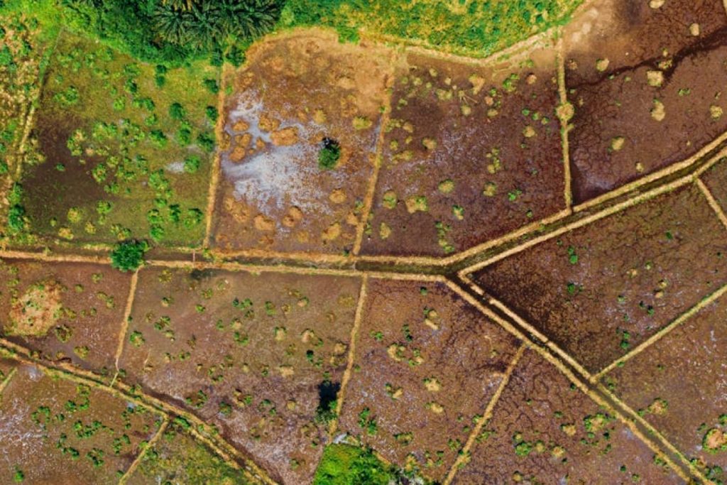 empty plot land