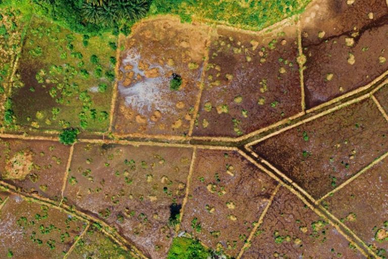 empty plot land