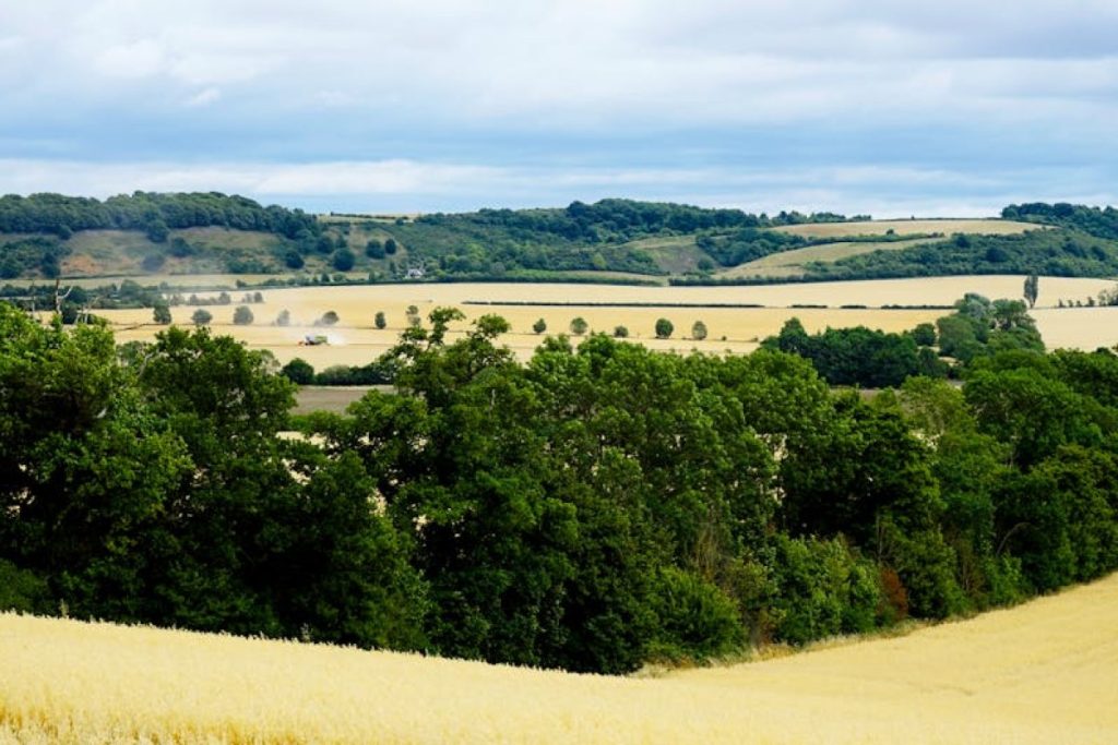 countryside field