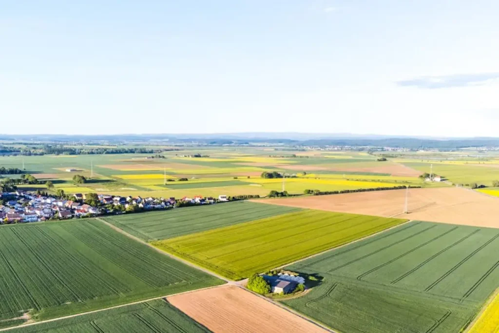 rural field
