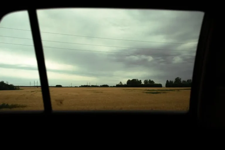 countryside field