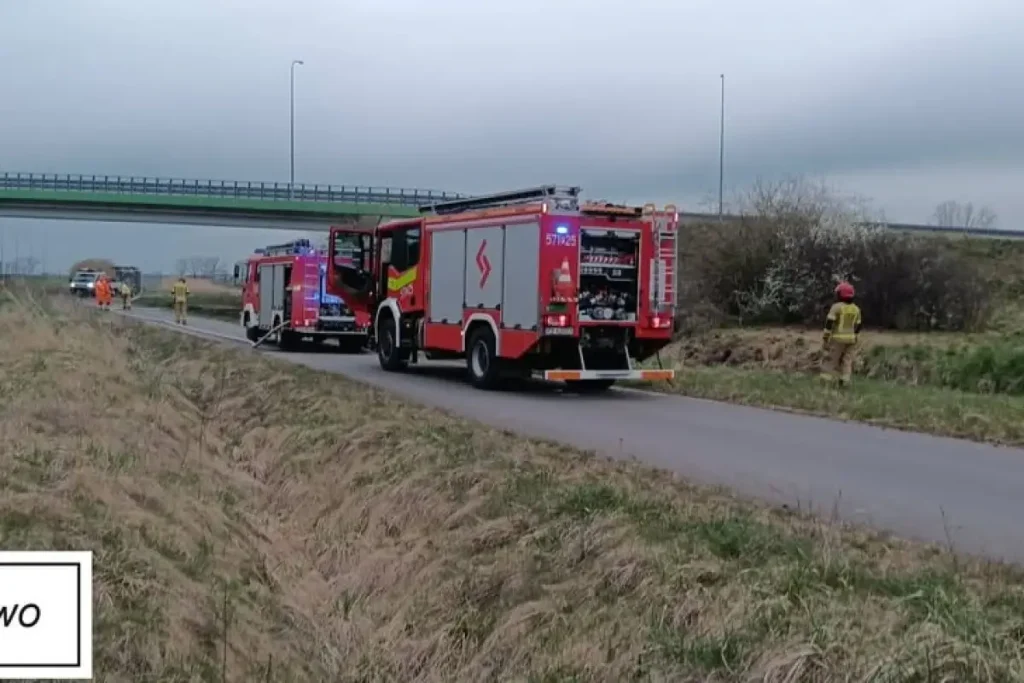 firefighters extinguishing grass fire