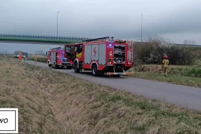 firefighters extinguishing grass fire