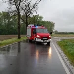 fallen tree road