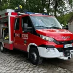 firefighters wasp removal